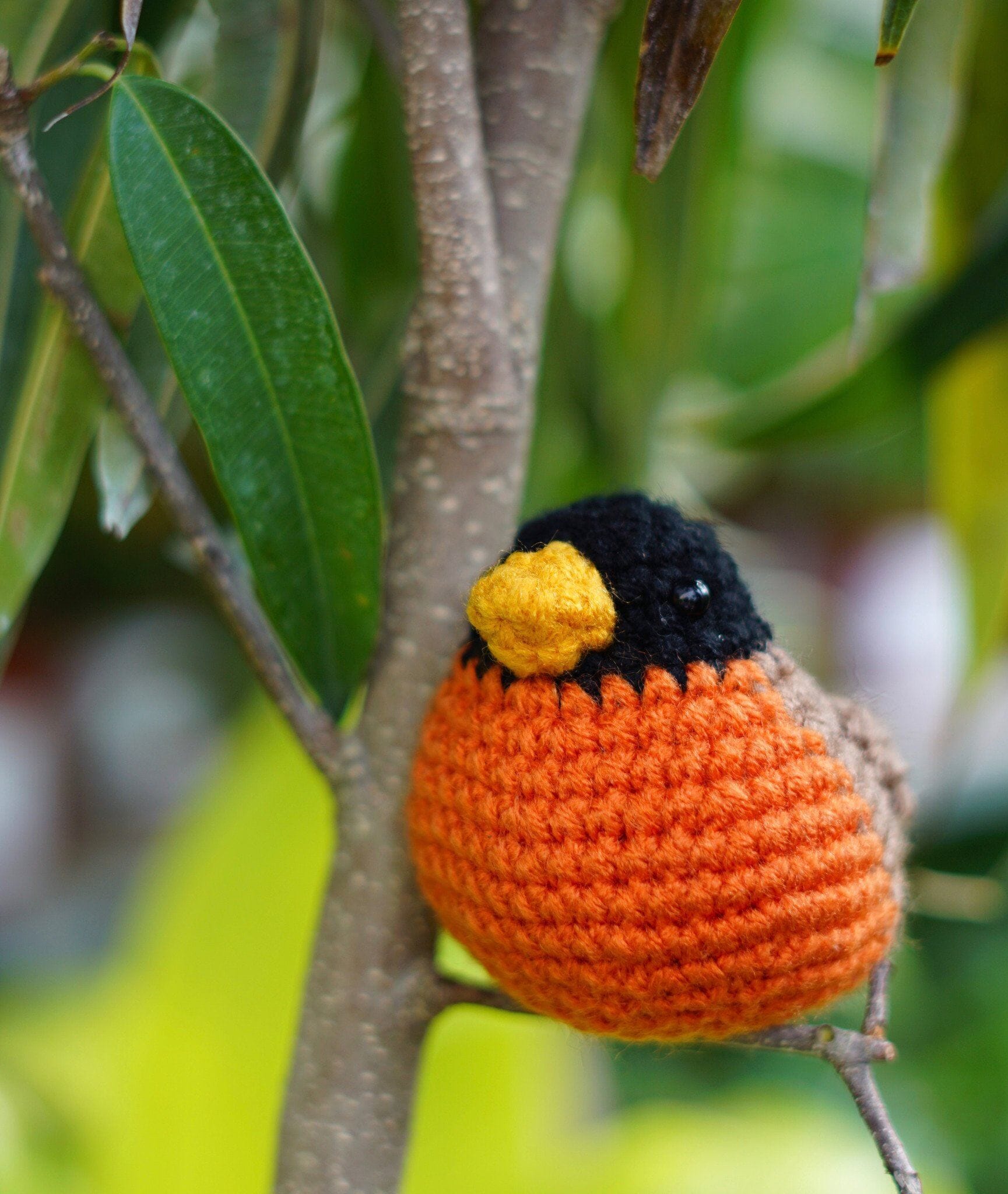 Realistic Amigurumi Free Crochet Pattern - American Robin