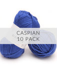 10 Pack Wander Acrylic Yarn Yarn FurlsCrochet Caspian 