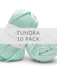 10 Pack Wander Acrylic Yarn Yarn FurlsCrochet Tundra 
