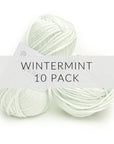 10 Pack Wander Acrylic Yarn Yarn FurlsCrochet Wintermint 