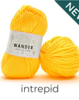 Wander Acrylic Yarn Yarn FurlsCrochet Intrepid 